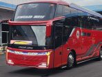Disomasi PO Mulia Jaya soal Video di Terminal Mandalika, Amirudin Tempuh Langkah Hukum